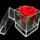 SAAB-110-2 Acrylic box for 1 flower