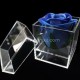 SAAB-110-5 Acrylic box for 1 flower