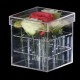 Plexiglass flower box with 9 holes
